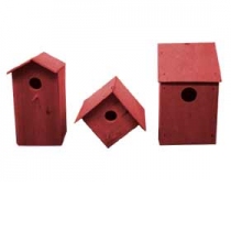 Thumbnail of Bird Architecture project